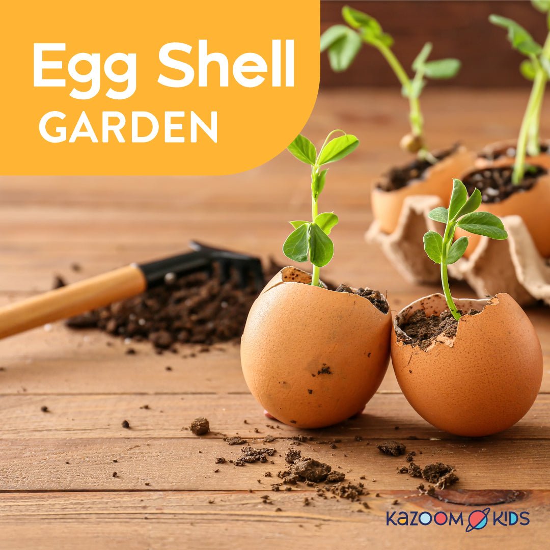 Egg Shell Garden