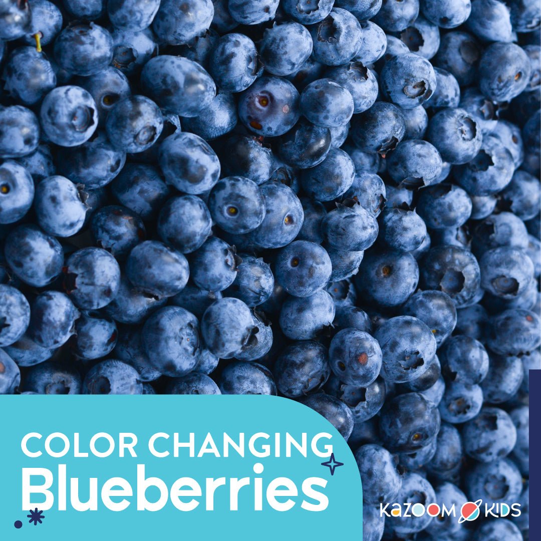 Color Changing Blueberries