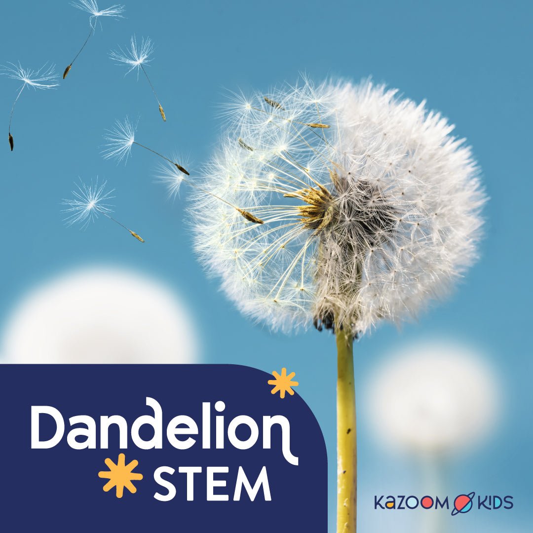 Dandelion Stem Activity